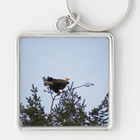 Bald Eagle Schlüsselanhänger (Vorne)