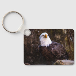 Bald Eagle Schlüsselanhänger