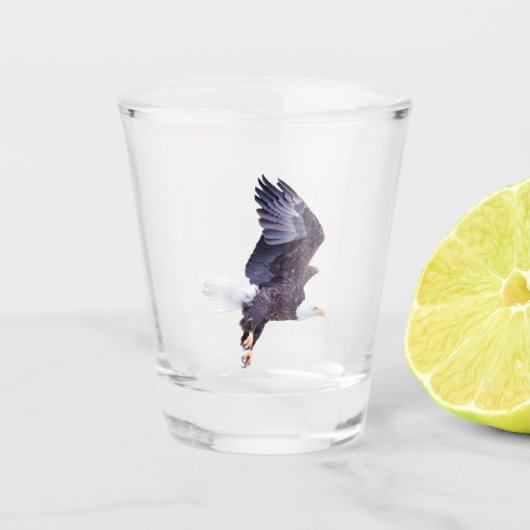 Bald Eagle Schnapsglas (Vorderseite)