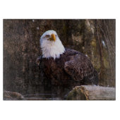 Bald Eagle Schneidebrett (Vorderseite)