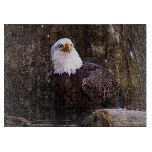 Bald Eagle Schneidebrett (Vorderseite)