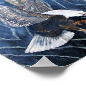 Bald Eagle Scratch Poster (Ecke)