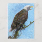 Bald Eagle Screaming in a Tree Postkarte (Vorderseite)