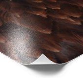 Bald Eagle Screech Fotodruck (Ecke)