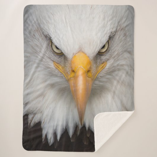 Bald Eagle Sherpadecke (Vorderseite)