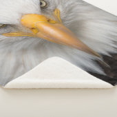 Bald Eagle Sherpadecke (3/4)