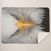 Bald Eagle Sherpadecke (Vorderseite (Horizontal))