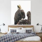 Bald Eagle sieht dich an Leinwanddruck (Insitu (Schlafzimmer))