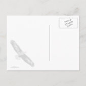 Bald Eagle sieht mich an Postkarte (Rückseite)