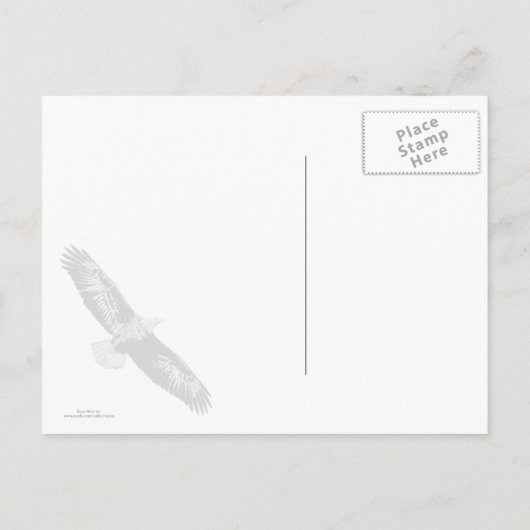 Bald Eagle sieht mich an Postkarte (Rückseite)