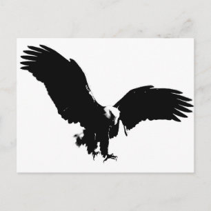Bald Eagle Silhouette Postkarte