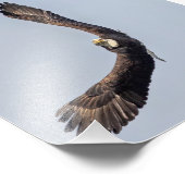 Bald Eagle Sky Carving Fotodruck (Ecke)
