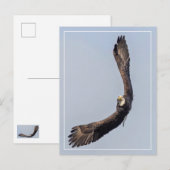 Bald Eagle Sky Carving Postkarte (Vorne/Hinten)