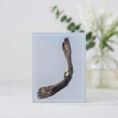 Bald Eagle Sky Carving Postkarte (Stehend Vorderseite)