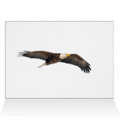 Bald Eagle Sky High (Innenansicht Horizontal (Oben))