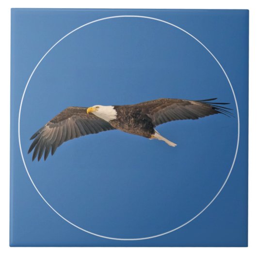 Bald Eagle Sky High Fliese (Vorderseite)
