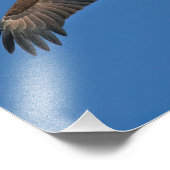 Bald Eagle Sky High Fotodruck (Ecke)