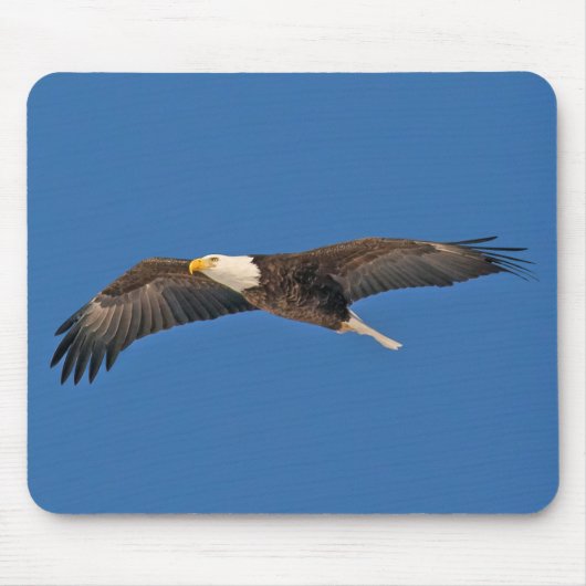 Bald Eagle Sky High Mousepad (Vorne)