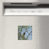 Bald Eagle Smile Magnet (In Situ (Geschirrspüler))