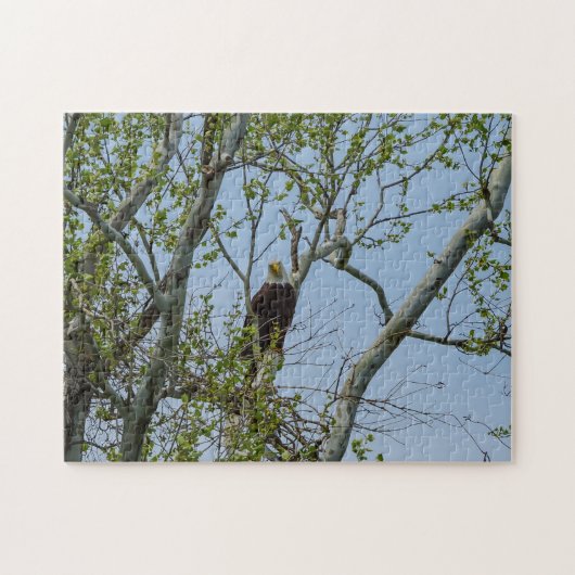 Bald Eagle Smile Puzzle (Horizontal)