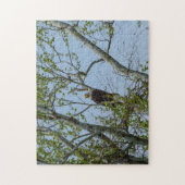 Bald Eagle Smile Puzzle (Vertikal)