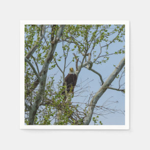 Bald Eagle Smile Serviette