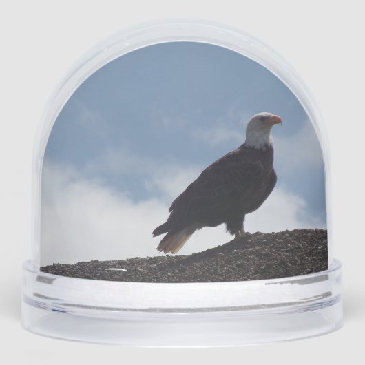Bald Eagle Snow Globe Schneekugeln (Vorderseite)