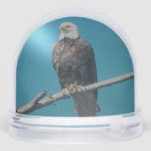Bald Eagle Snow Globe Schneekugeln (Rückseite)