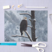 Bald Eagle Snow Tree Foto Seidenpapier (Handwerk)