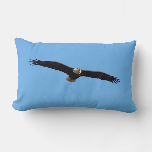 Bald Eagle Soar Lendenkissen (Vorderseite)