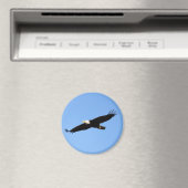 Bald Eagle Soar Magnet (In Situ (Geschirrspüler))