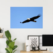 Bald Eagle Soar Poster (Heimbüro)