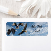 Bald Eagle Soaring (Insitu)