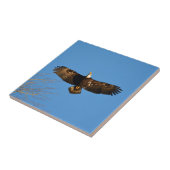 Bald Eagle Soaring1 Fliese (Seite)