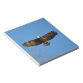 Bald Eagle Soaring1 Notizblock (angewinkelt)