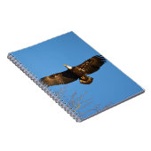 Bald Eagle Soaring1 Notizblock (Rechte Seite)