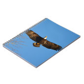 Bald Eagle Soaring1 Notizblock (Linke Seite)