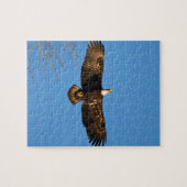 Bald Eagle Soaring1 Puzzle (Horizontal)