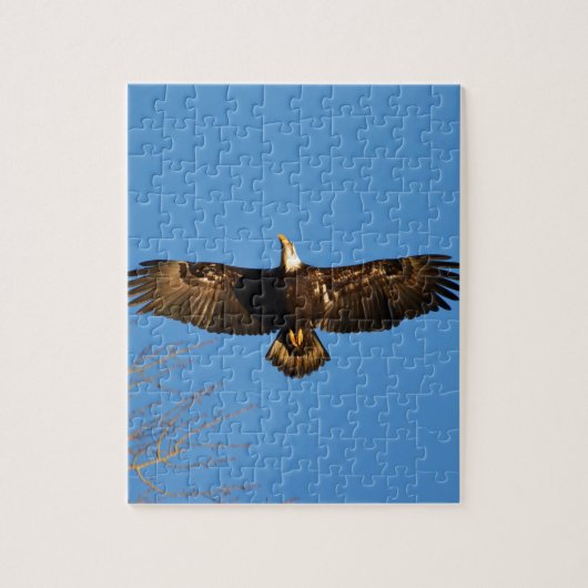 Bald Eagle Soaring1 Puzzle (Vertikal)