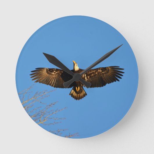 Bald Eagle Soaring1 Runde Wanduhr (Vorderseite)