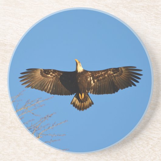 Bald Eagle Soaring1 Sandstein Untersetzer (Vorne)