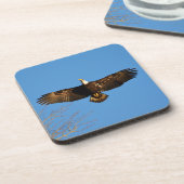 Bald Eagle Soaring1 Untersetzer (Linke Seite)
