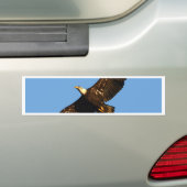 Bald Eagle Soaring 2 Autoaufkleber (Auf Auto)