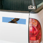 Bald Eagle Soaring 2 Autoaufkleber (Auf Lkw)