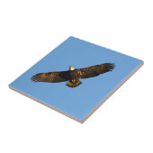 Bald Eagle Soaring 2 Fliese (Seite)