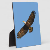 Bald Eagle Soaring 2 Fotoplatte (Seite)