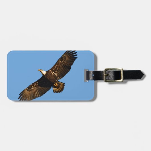 Bald Eagle Soaring 2 Gepäckanhänger (Vorderseite horizontal)