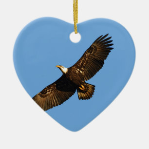 Bald Eagle Soaring 2 Keramik Ornament