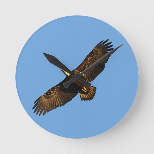 Bald Eagle Soaring 2 Runde Wanduhr (Vorderseite)