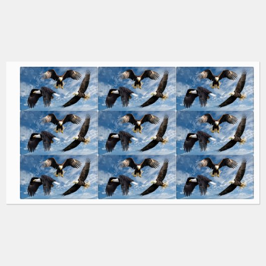 Bald Eagle Soaring Etiketten (Blatt)